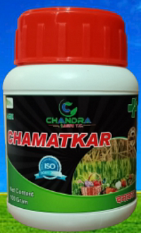 agri CHAMATKAR