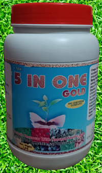 catc 5 IN ONE GOLD