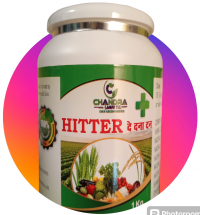 HITTER (de dana dan) (हिटर दे दना दन )