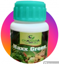 MAXX GREEN